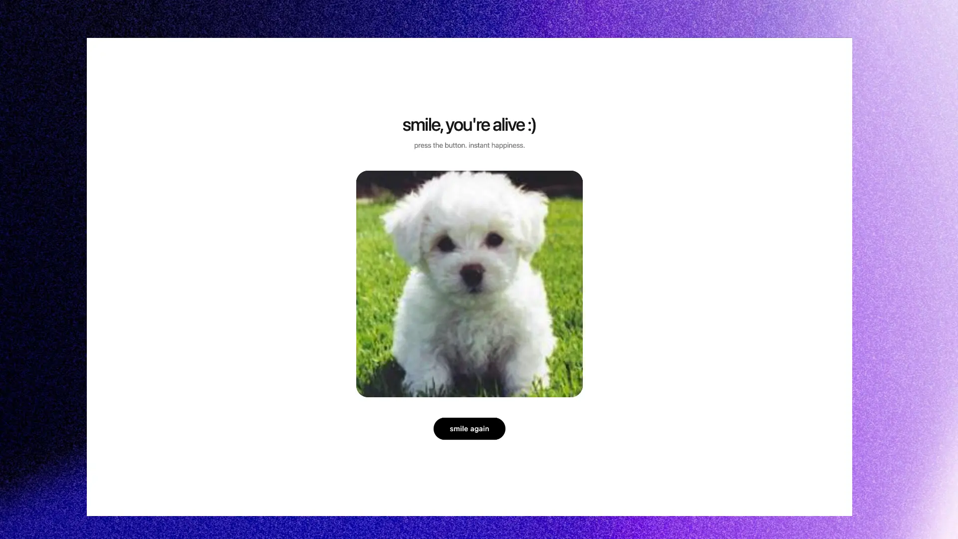 Smile, you're alive preview